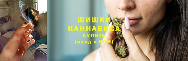 ECSTASY Богородск